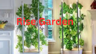 rise garden